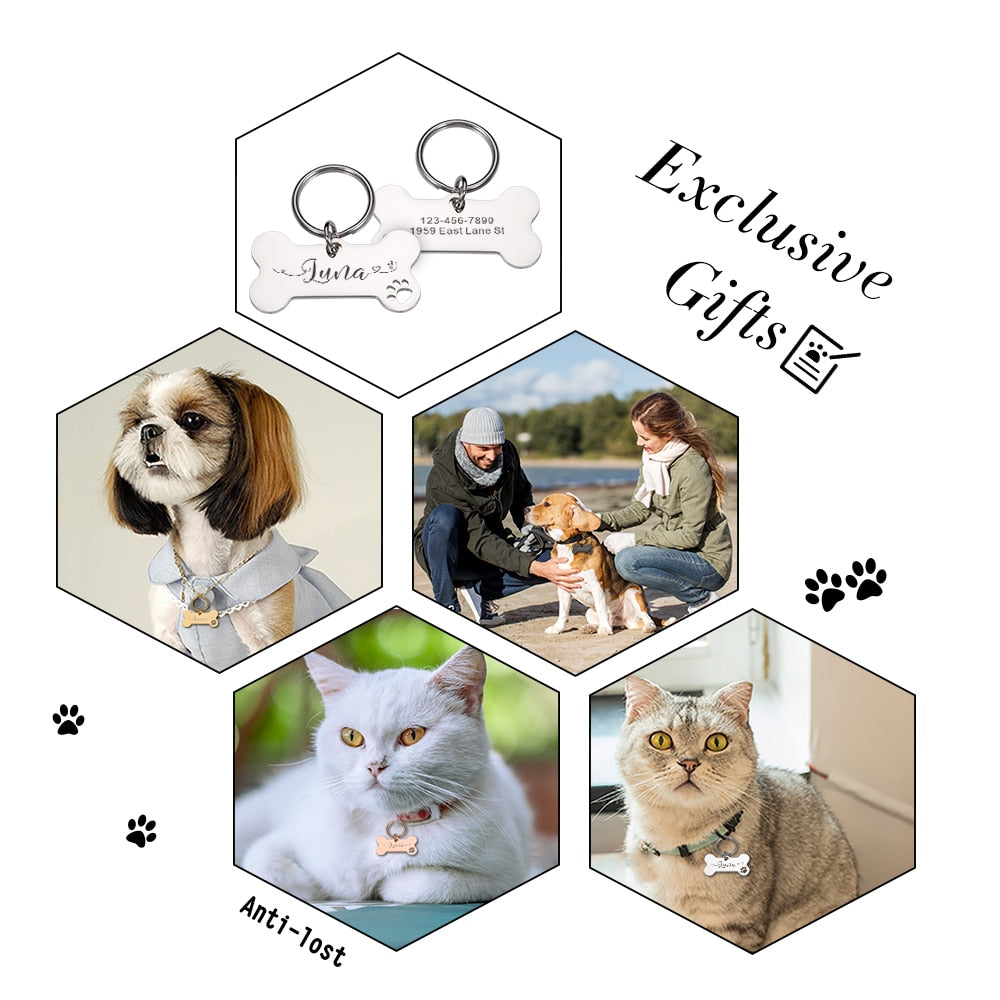 Targhette per cani personalizzate in acciaio lucido Incisione gratuita Gattino Cucciolo Collari anti-smarrimento Tag per targhetta per cani e gatti Accessori per animali domestici