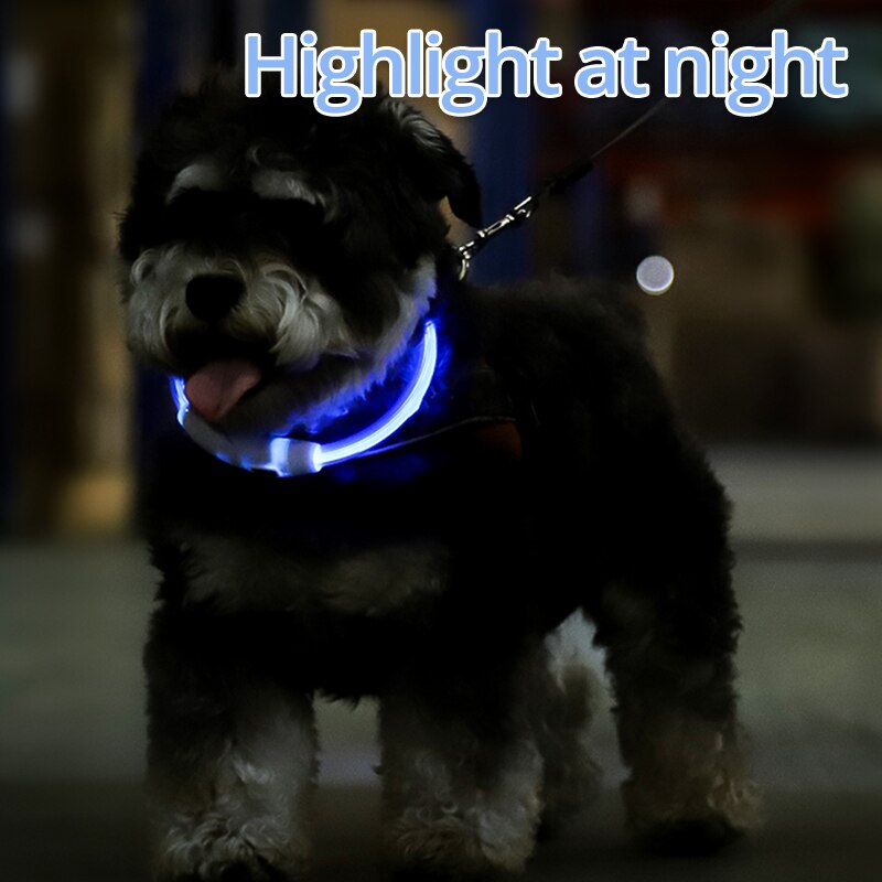 Collare per cani a LED Collari per cani illuminati USB ricaricabile TPU Glow Safety Collari per cani di base per grandi, medie e piccole dimensioni