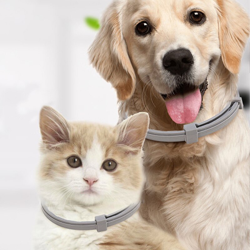 Collare antipulci per animali domestici Collare regolabile antizanzare repellente per insetti per animali di taglia grande Cucciolo di gatto Vitro Accessori per cani contro la sverminazione