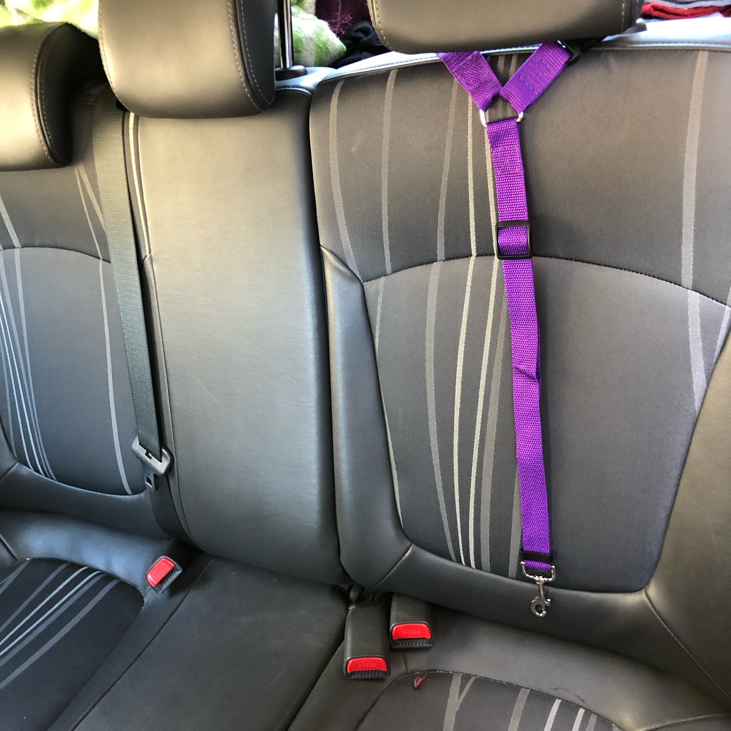 Cintura di sicurezza per auto per animali domestici due in uno in tinta unita Guinzaglio in nylon Cintura di sicurezza per sedile posteriore Collare per imbracatura per cani regolabile Accessori per animali domestici