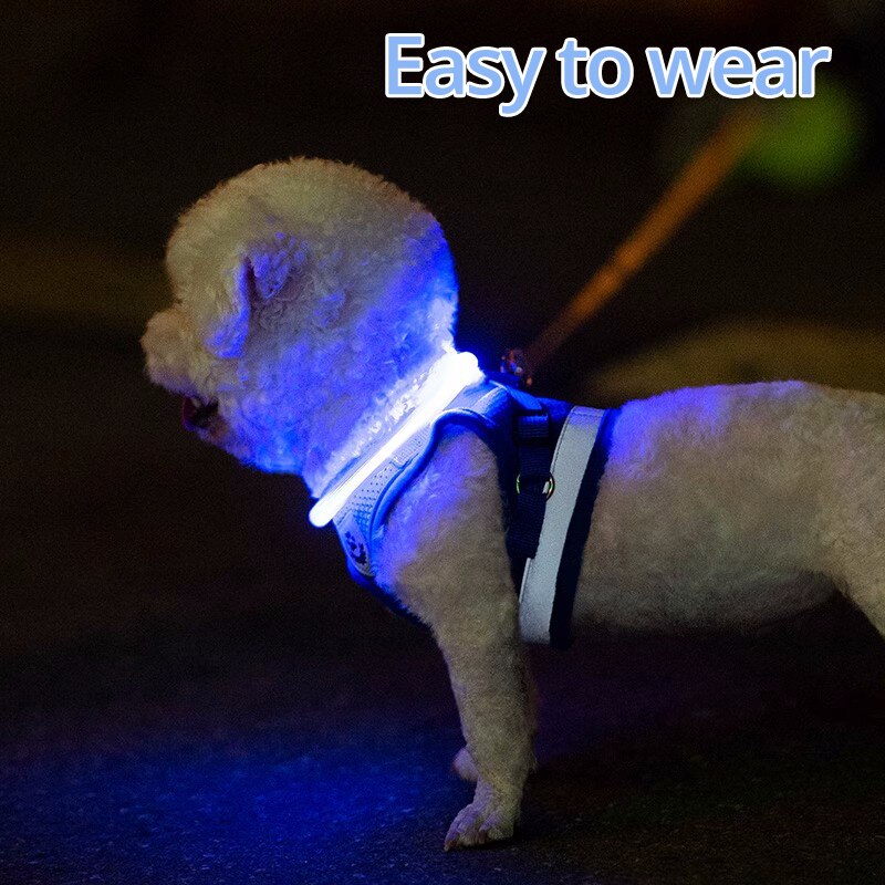 Collare per cani a LED Collari per cani illuminati USB ricaricabile TPU Glow Safety Collari per cani di base per grandi, medie e piccole dimensioni